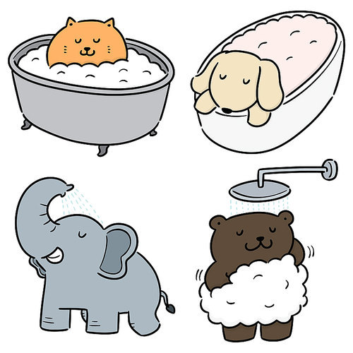 vector set of animal bathing