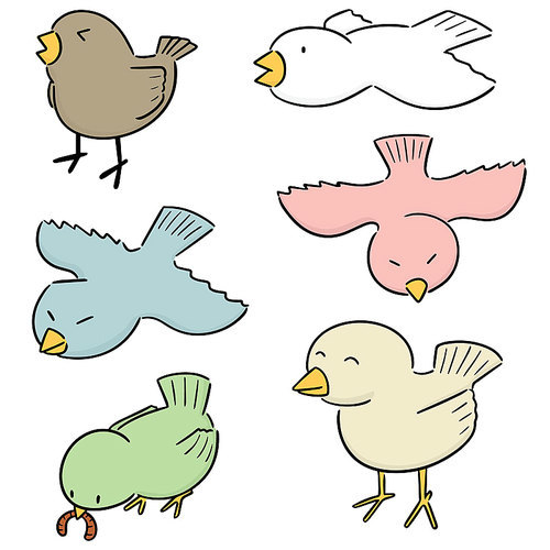 vector set of bird