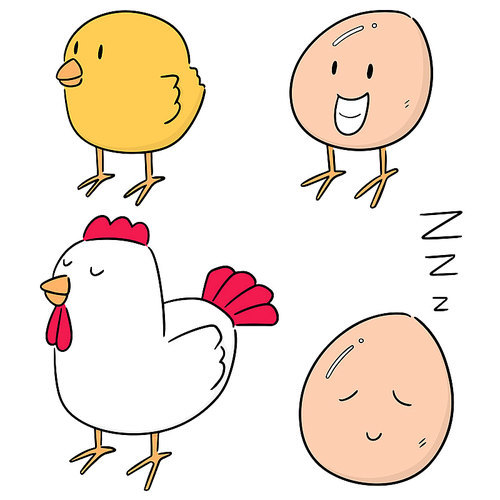 vector set of chicken and egg