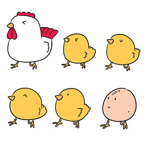 vector set of chicken and egg