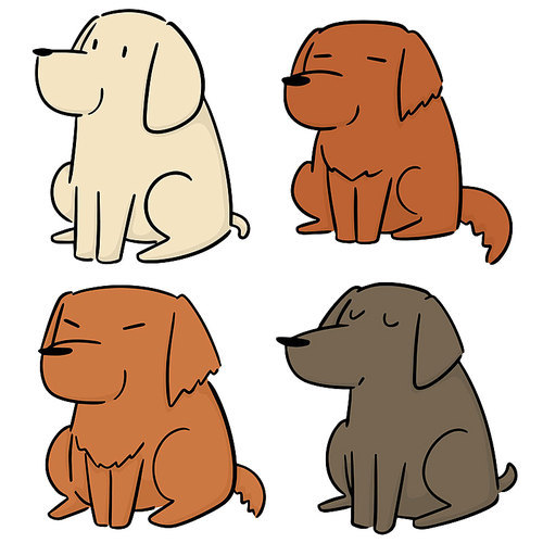 vector set of dog