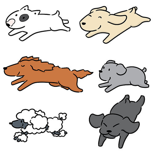 vector set of dog running