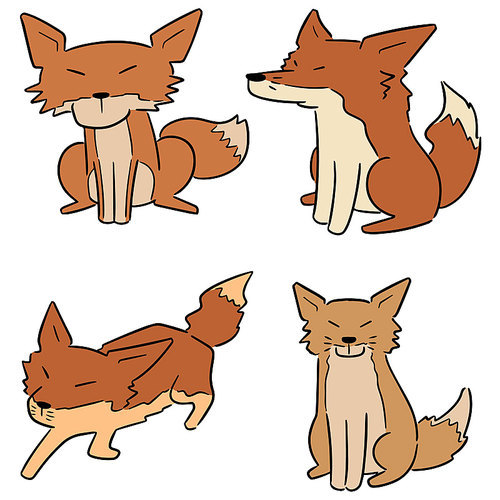 vector set of fox