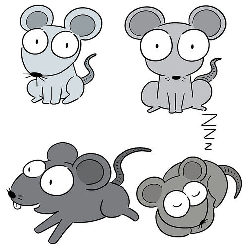 vector set of mouse