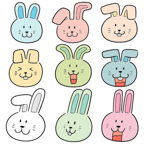 vector set of rabbit face