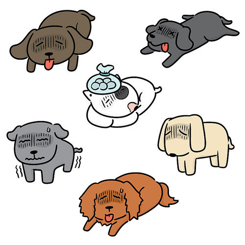 vector set of sick dog