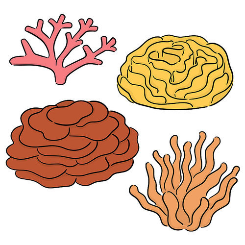 vector set of coral