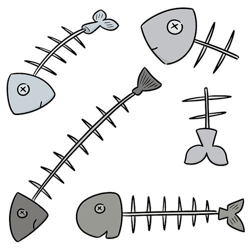 vector set of fishbone