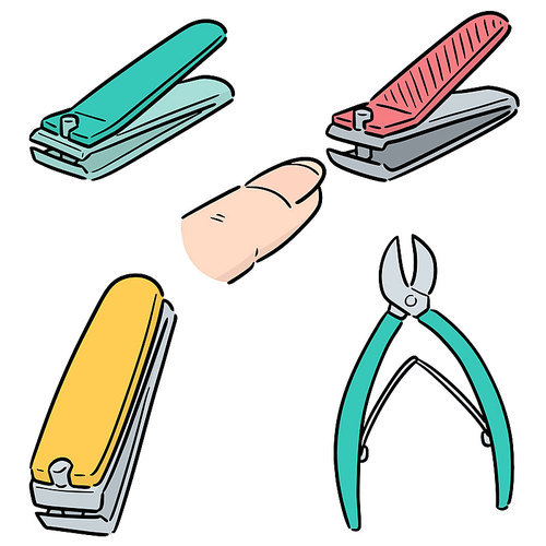 vector set of nail clipper