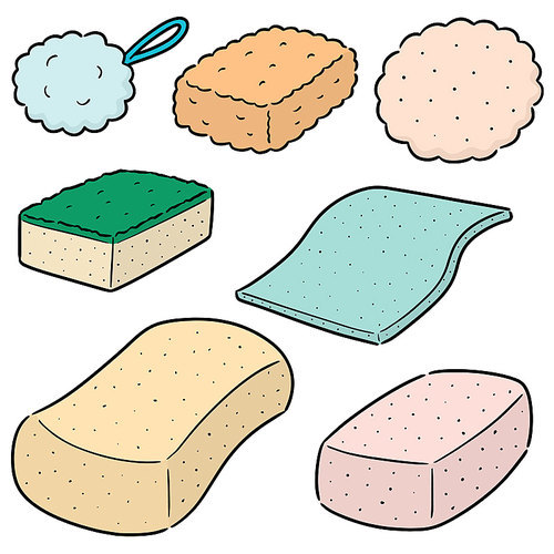 vector set of sponge