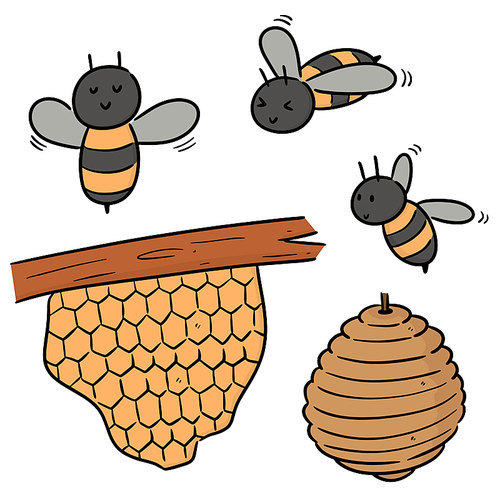 vector set of bee and honeycomb