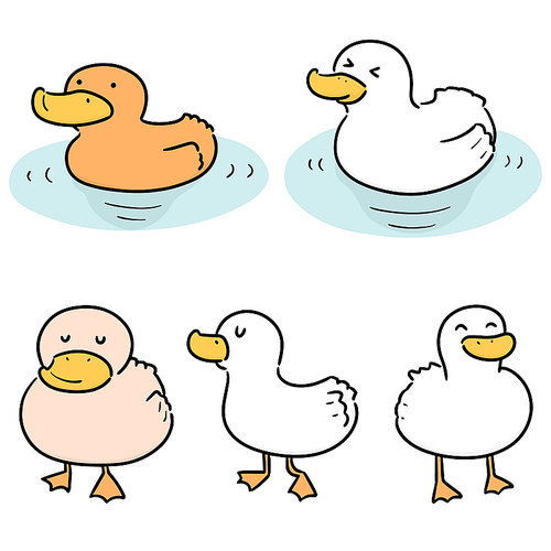 vector set of duck