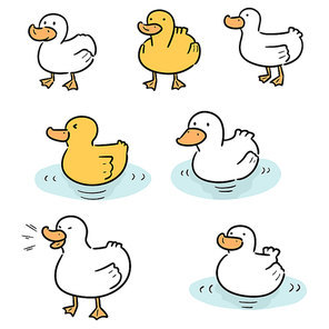 vector set of duck