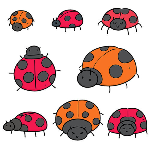 vector set of ladybug