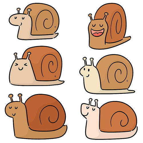 vector set of snail