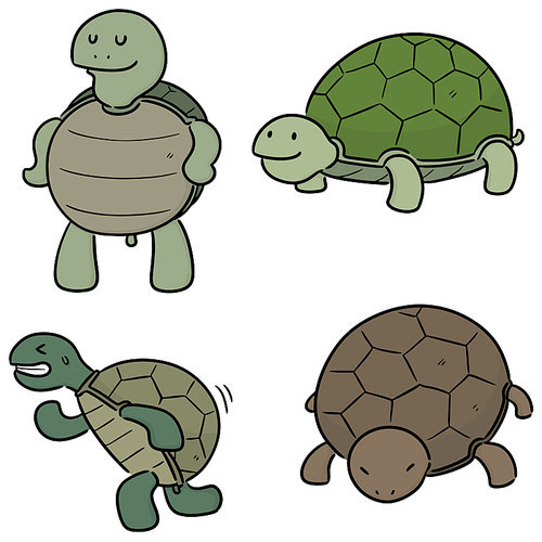 vector set of turtle