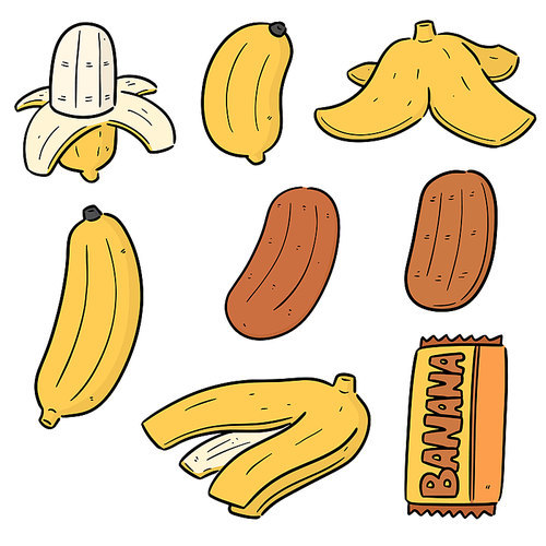 vector set of banana