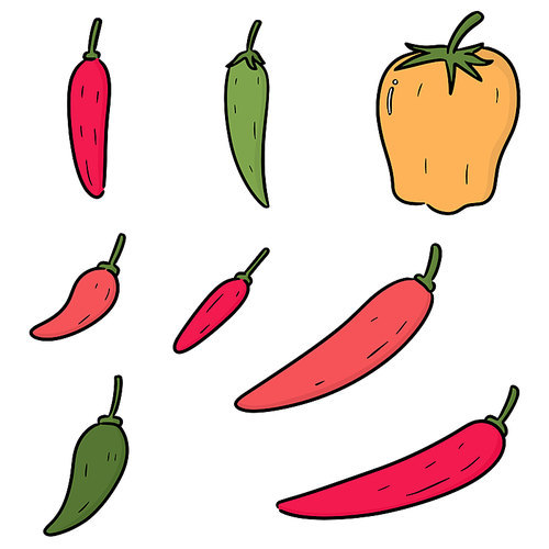 vector set of chilli