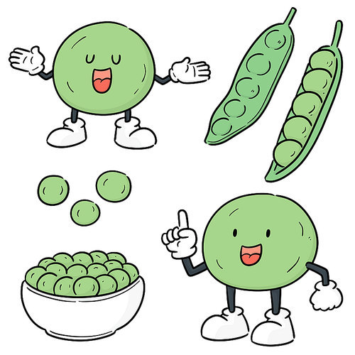vector set of green pea