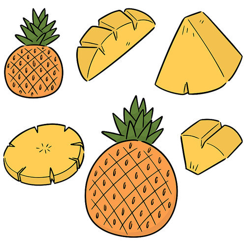 vector set of pineapple
