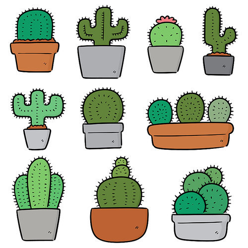 vector set of cactus