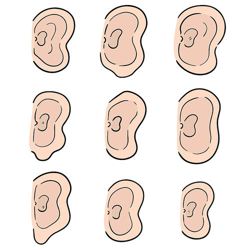 vector set of ear