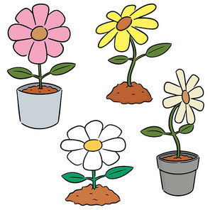vector set of flower