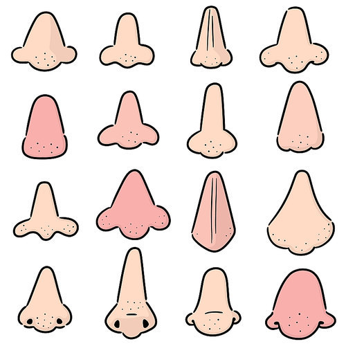 vector set of nose