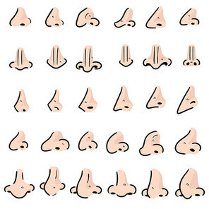 vector set of nose