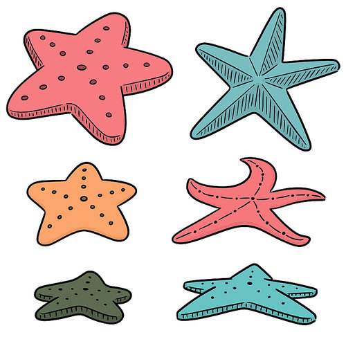 vector set of starfish