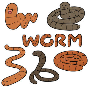 vector set of worm