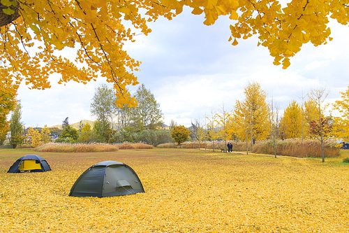 가을 캠핑