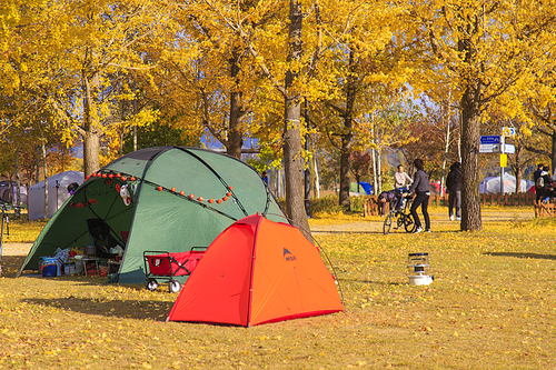가을 캠핑
