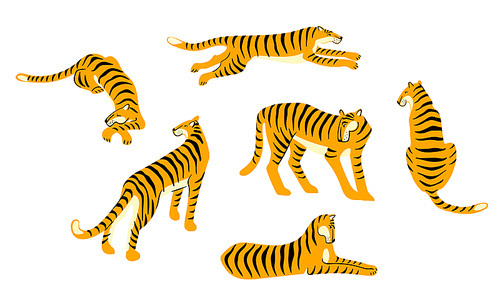 Vestor set of tigers. Trendy illustration. Design elements