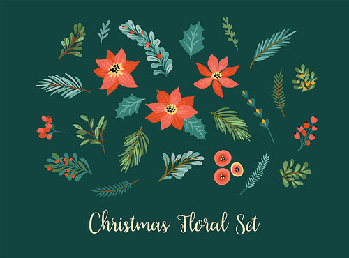 Vector set of Christmas floral elements. Needles, branches, flowers, leaves, berries Design elements