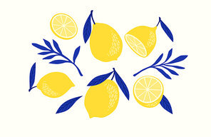 Set of drawn lemons. Citrus fruits, lemons, limes. Vector illustration. Isolated elements for design