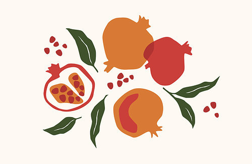 Set of drawn pomegranate, Vector illustration. Isolated elements for design