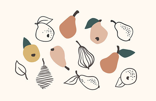 Set of drawn pears, Vector illustration. Isolated elements for design