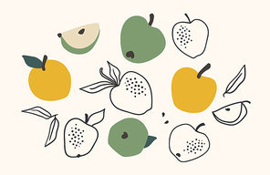 Set of drawn apples, Vector illustration. Isolated elements for design