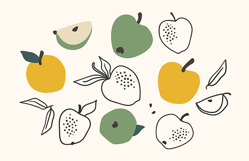 Set of drawn apples, Vector illustration. Isolated elements for design