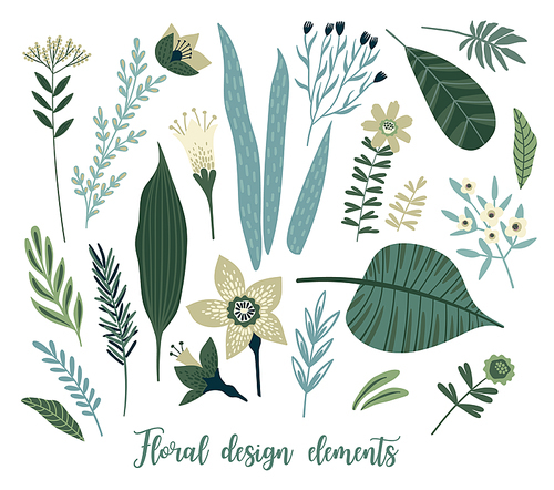 Vector floral design elements. Leaves, flowers, grass, branches, berries. Vector illustration.