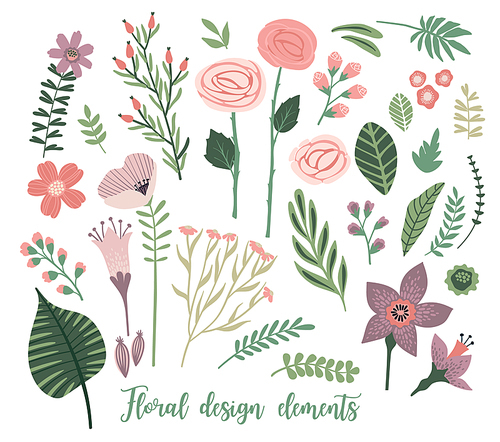 Vector floral design elements. Leaves, flowers, grass, branches, berries. Vector illustration.