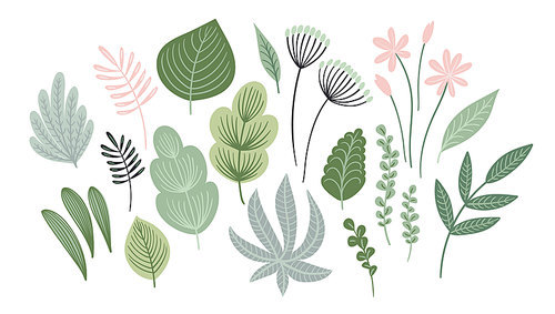 Set of abstract leaves, flowers and grass. Clipart, isolated elements. Vector illustrations.