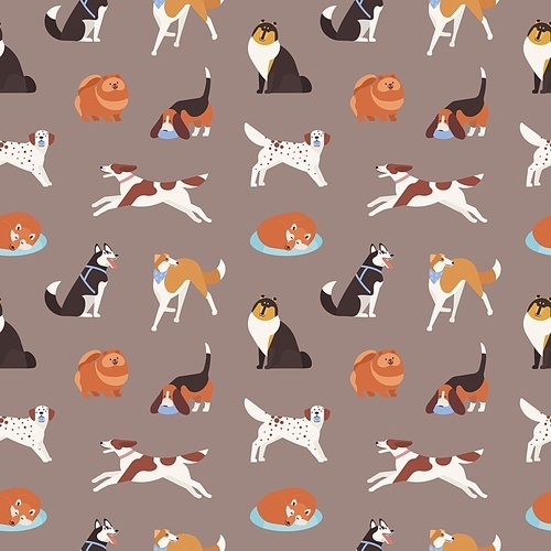 Seamless pattern with cute dogs of various breeds playing, running, walking, sitting, sleeping. Backdrop with adorable cartoon pet animals on grey background. Flat cartoon vector illustration