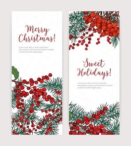 Collection of vertical Christmas banners with coniferous tree branches, holly leaves and berries, holiday lettering and place for text. Festive vector illustration in elegant realistic style.