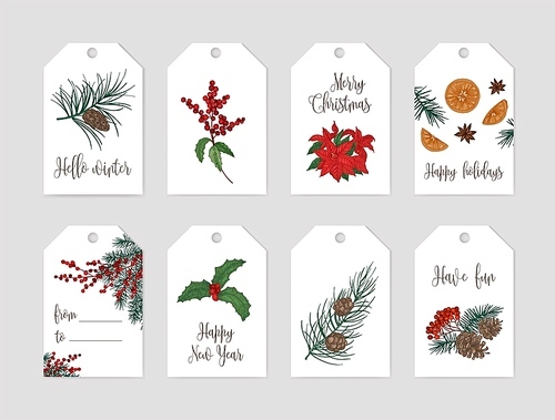 Collection of Christmas label or tag templates decorated with seasonal plants - coniferous tree branches and cones, holly berries and leaves, poinsettia, oranges and star anise. Vector illustration.