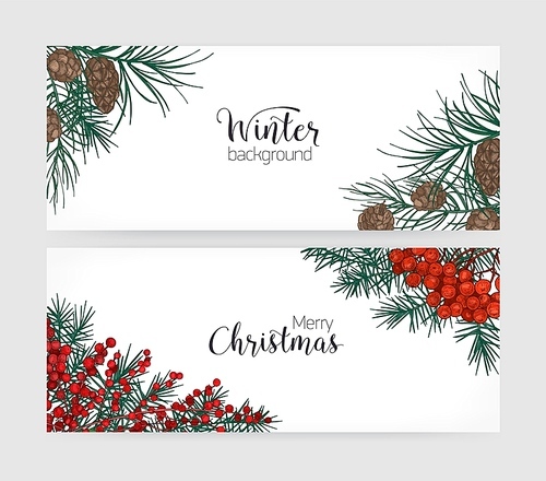 Set of horizontal holiday banners or backdrops with pine tree branches, cones, holly berries and place for text on white background. Elegant hand drawn vector illustration in vintage realistic style.
