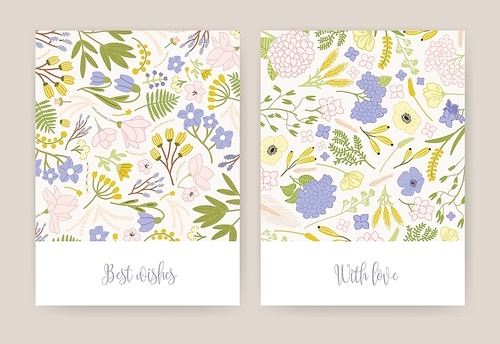 Collection of beautiful birthday greeting card or postcard templates with gorgeous colorful blooming flowers and leaves and elegant inscriptions handwritten with cursive font. Vector illustration