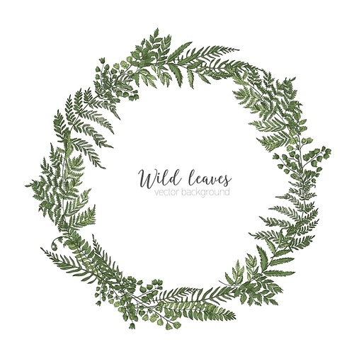 Round frame, border or circular wreath made of beautiful ferns, wild herbs or green herbaceous plants isolated on white . Herbal backdrop or border. Elegant realistic vector illustration