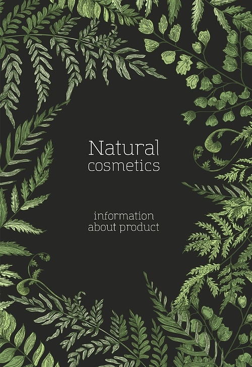 Flyer or poster template with ferns, wild herbs, green herbaceous plants hand drawn on black background. Natural backdrop. Beautiful realistic vector illustration for cosmetics product promotion